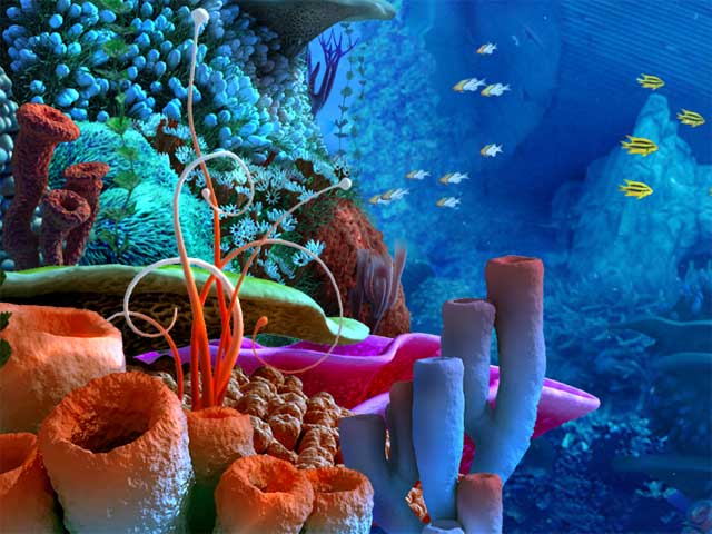 珊瑚礁 Coral Reef 3D Screensaver