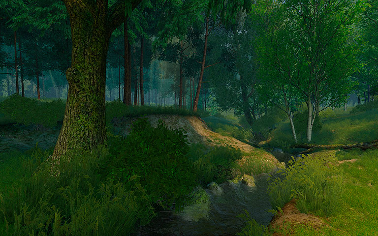 夏季森林 Summer Forest 3D Screensaver