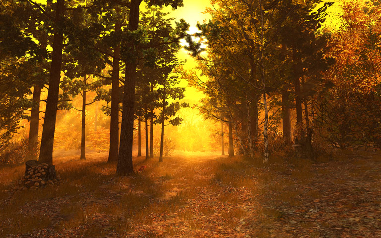秋之森林 Autumn Forest 3D Screensaver